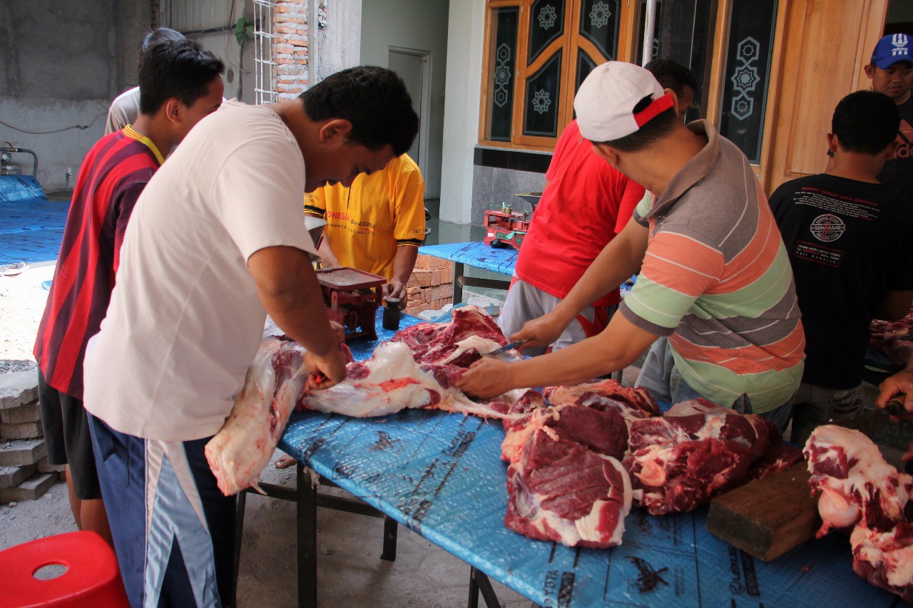 Qurban