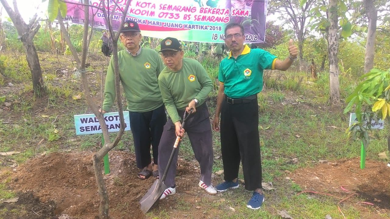 Go Green
