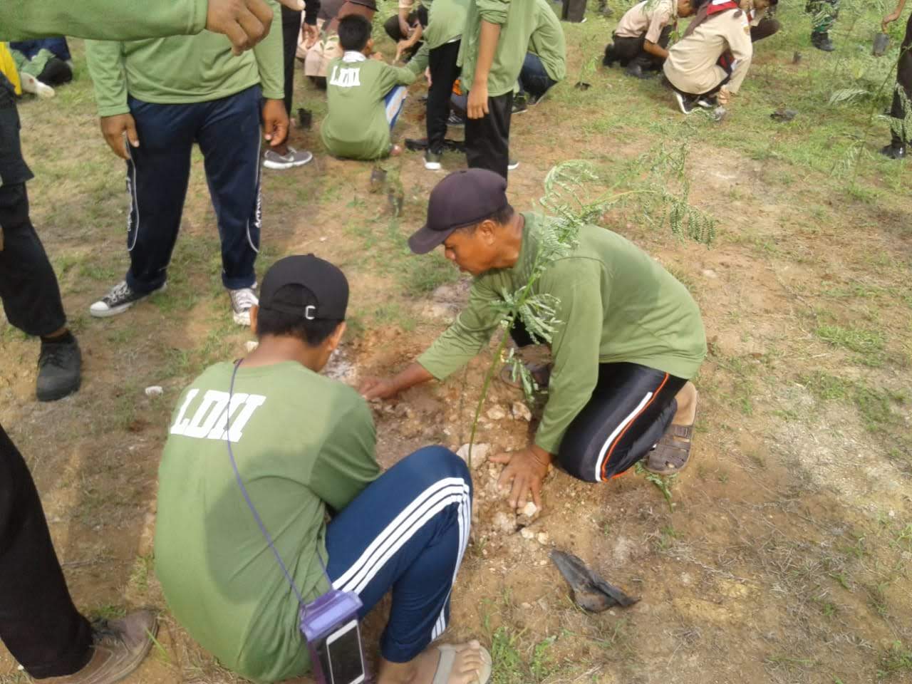 Go Green